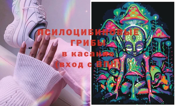 амф Алексеевка