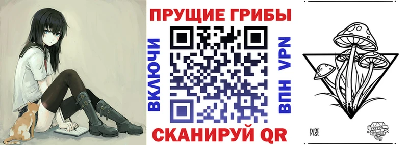 Галлюциногенные грибы Cubensis  Навашино 